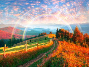 人気記事ランキング